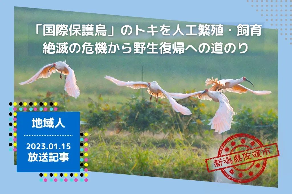 なぜ今、鳥の繁殖の保護が必要なのか