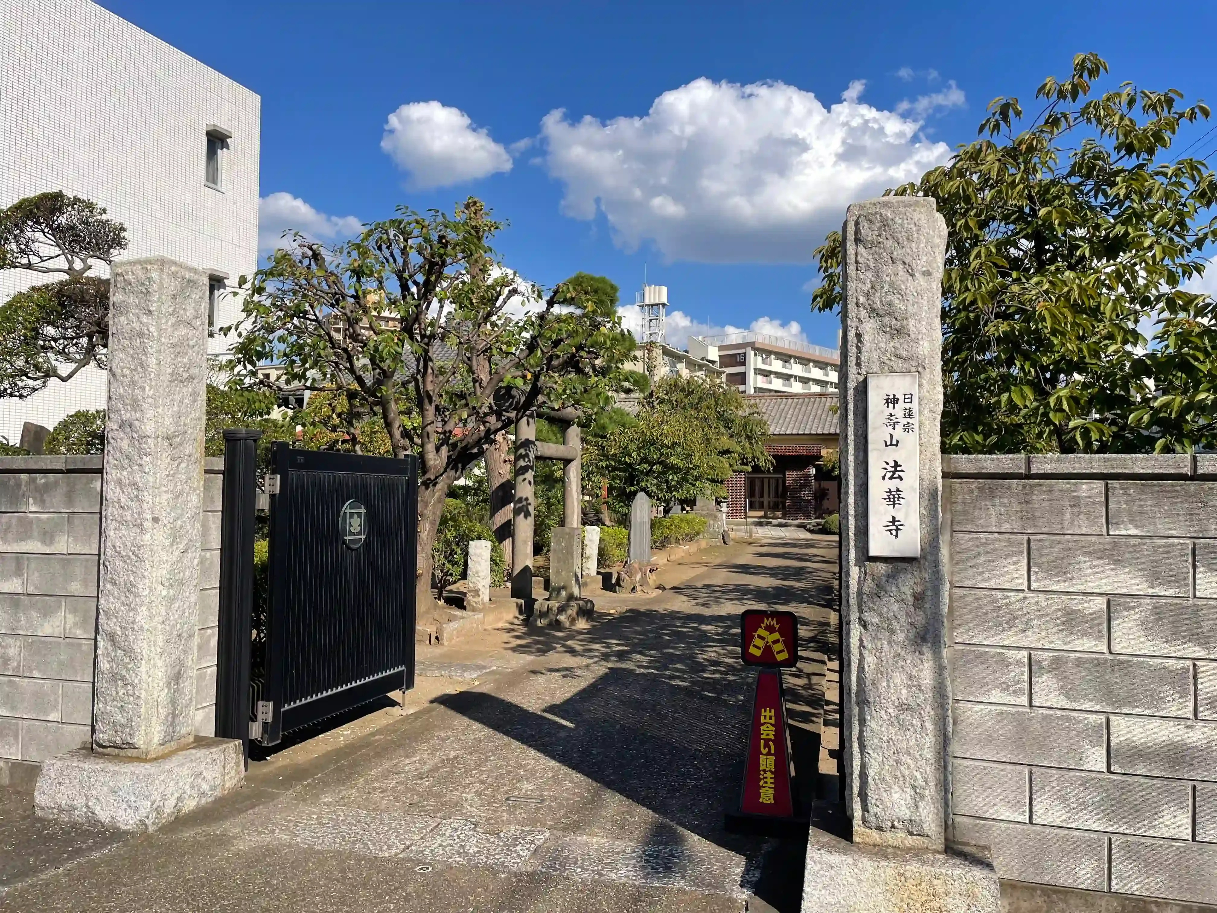 巣作りと道具利用：環境適応に見る鳥の文化の比較