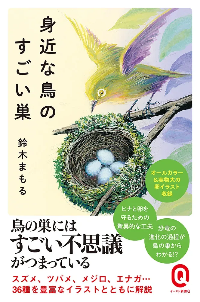 未来へつなぐ：鳥の文化の教育的重要性とその活用