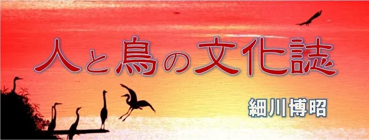 神話や伝承に息づく鳥たち  鳥の文化の歴史的背景
