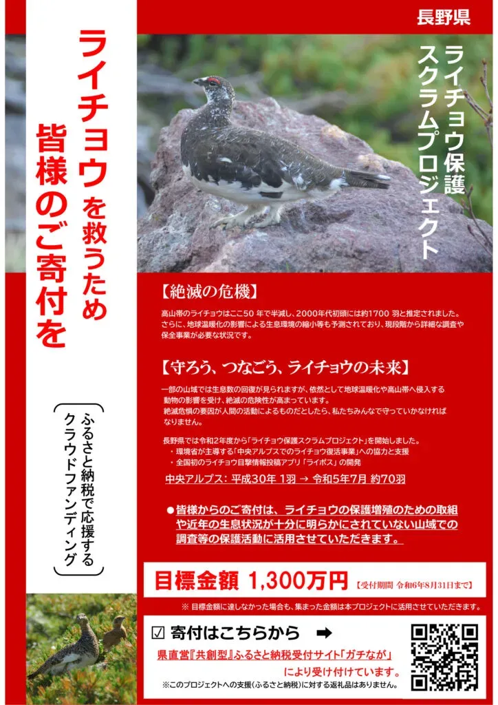 私たちができる鳥の繁殖を保護する小さな一歩
