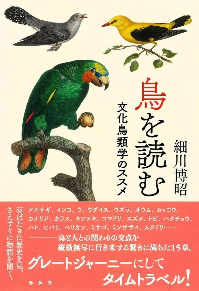 鳥の文化とは？知っておきたい基礎知識