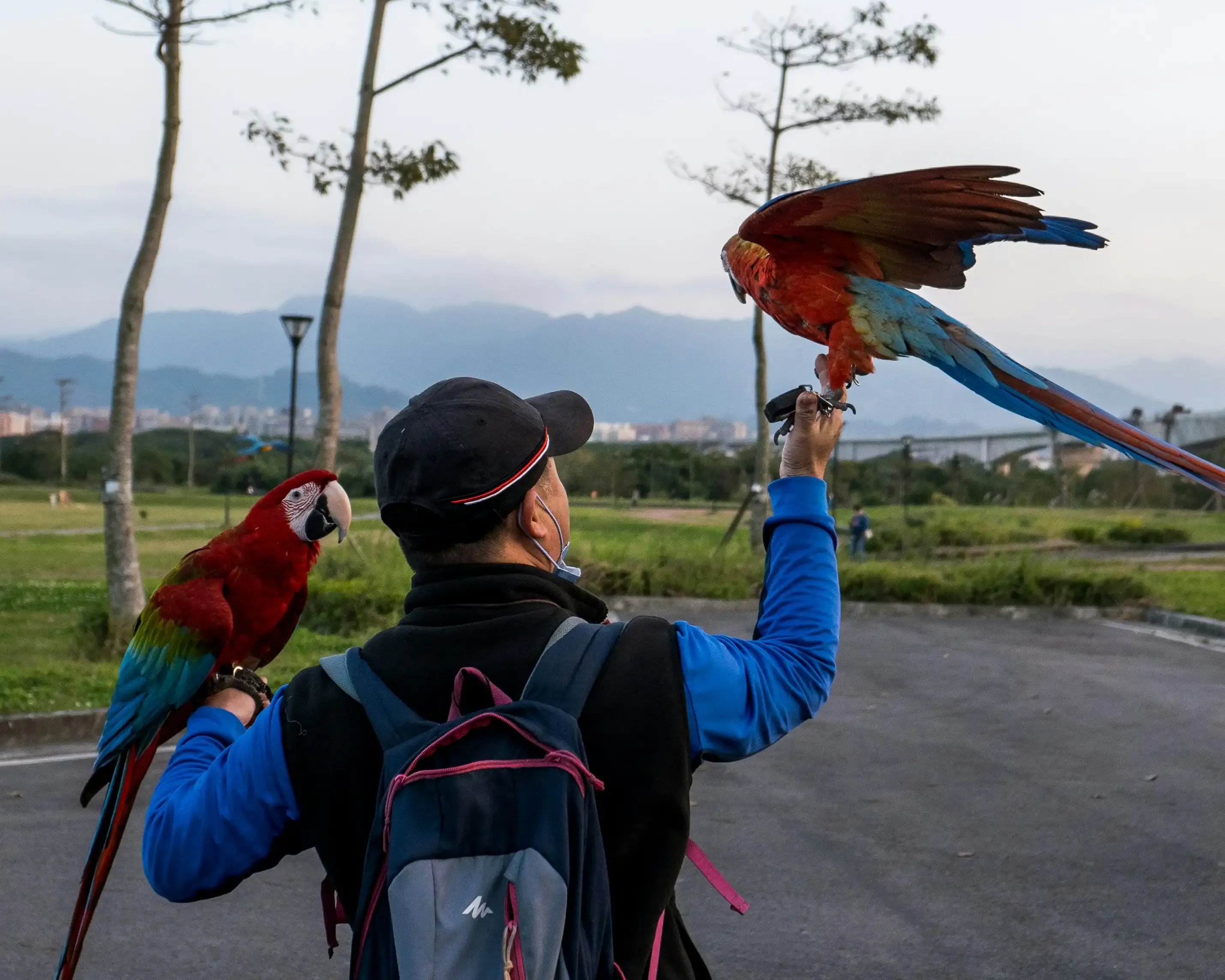 鳥の文化のツアーを最大限に楽しむための準備