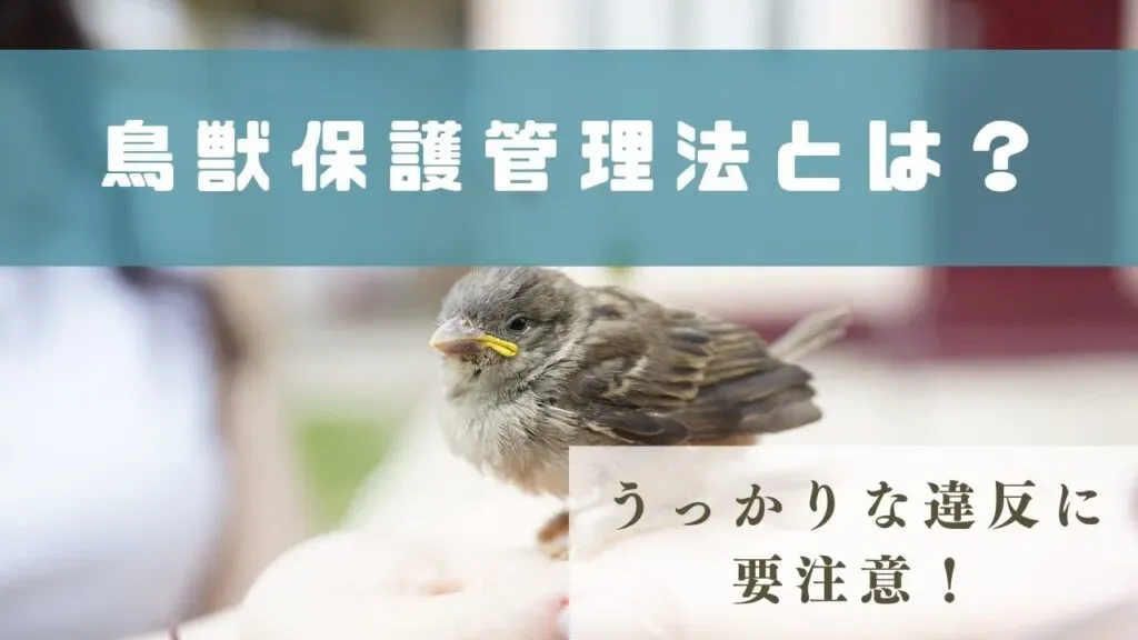鳥の文化の保護法とは？その目的と基本