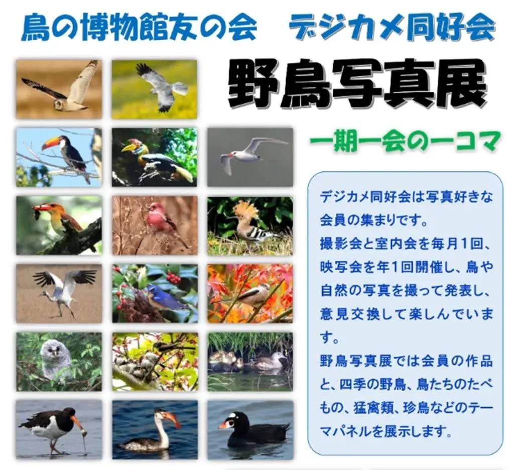 鳥の文化の撮影をさらに楽しむ：記録と共有