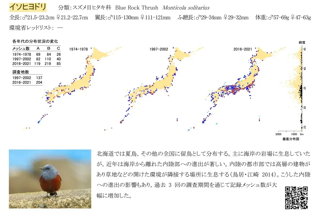 鳥の繁殖のツアー日程：ベストシーズンはいつ？