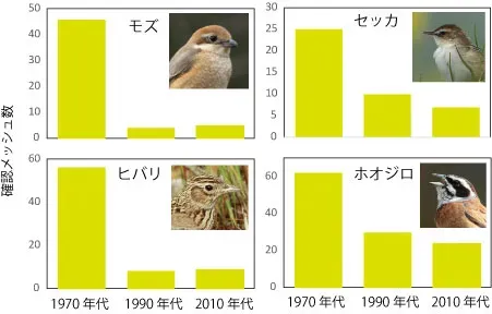 鳥の繁殖の季節的な変化：始まりのサイン