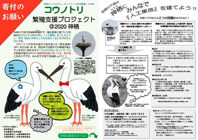 鳥の繁殖の研究プロジェクト：現場での挑戦