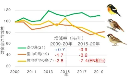 鳥はなぜ環境に必要？生態系での驚くべき役割