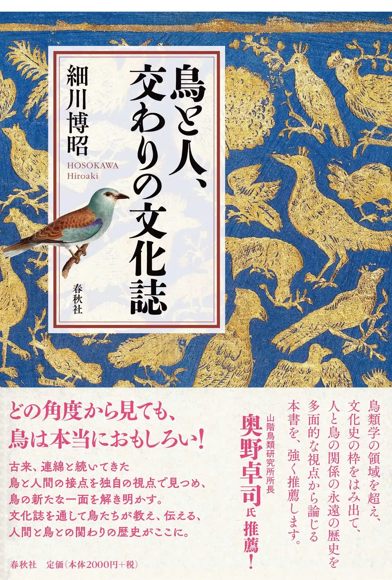 鳴き声に見る鳥の文化の比較：方言は存在するのか？