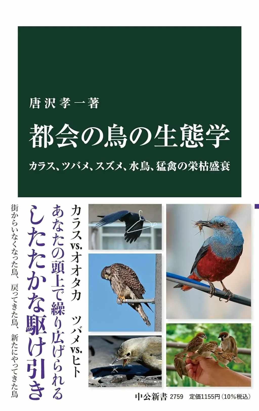 都市鳥の生態系を徹底解明！驚きの適応能力とは