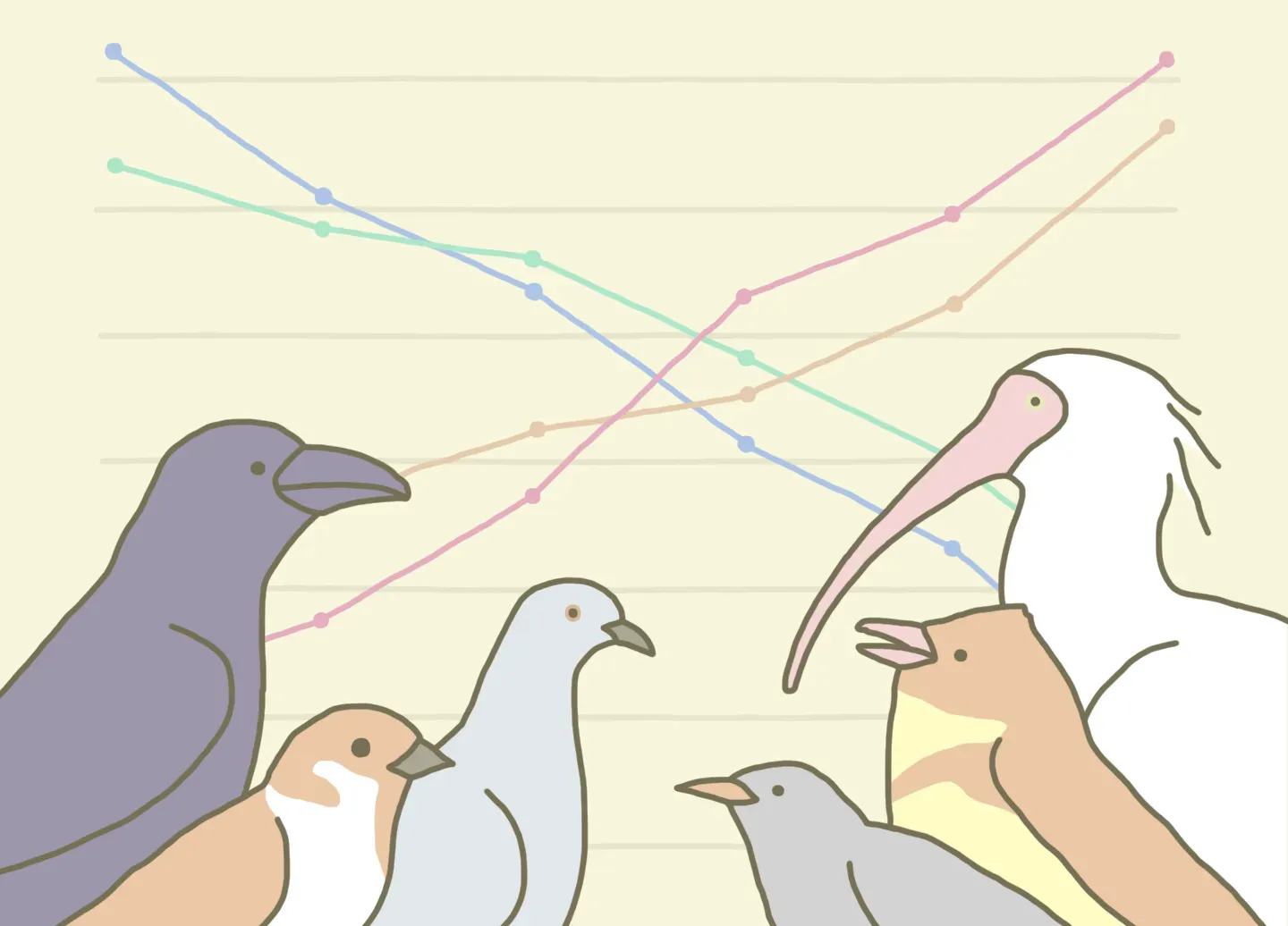 鳥の文化の環境影響：驚異の生態系サービス