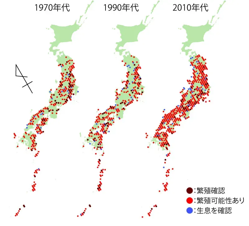 日本の鳥、繁殖の地域別事情：知っておきたい特徴と違い